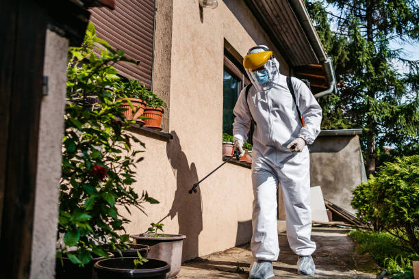Best Best Pest Control Companies  in Bridgeport, OH